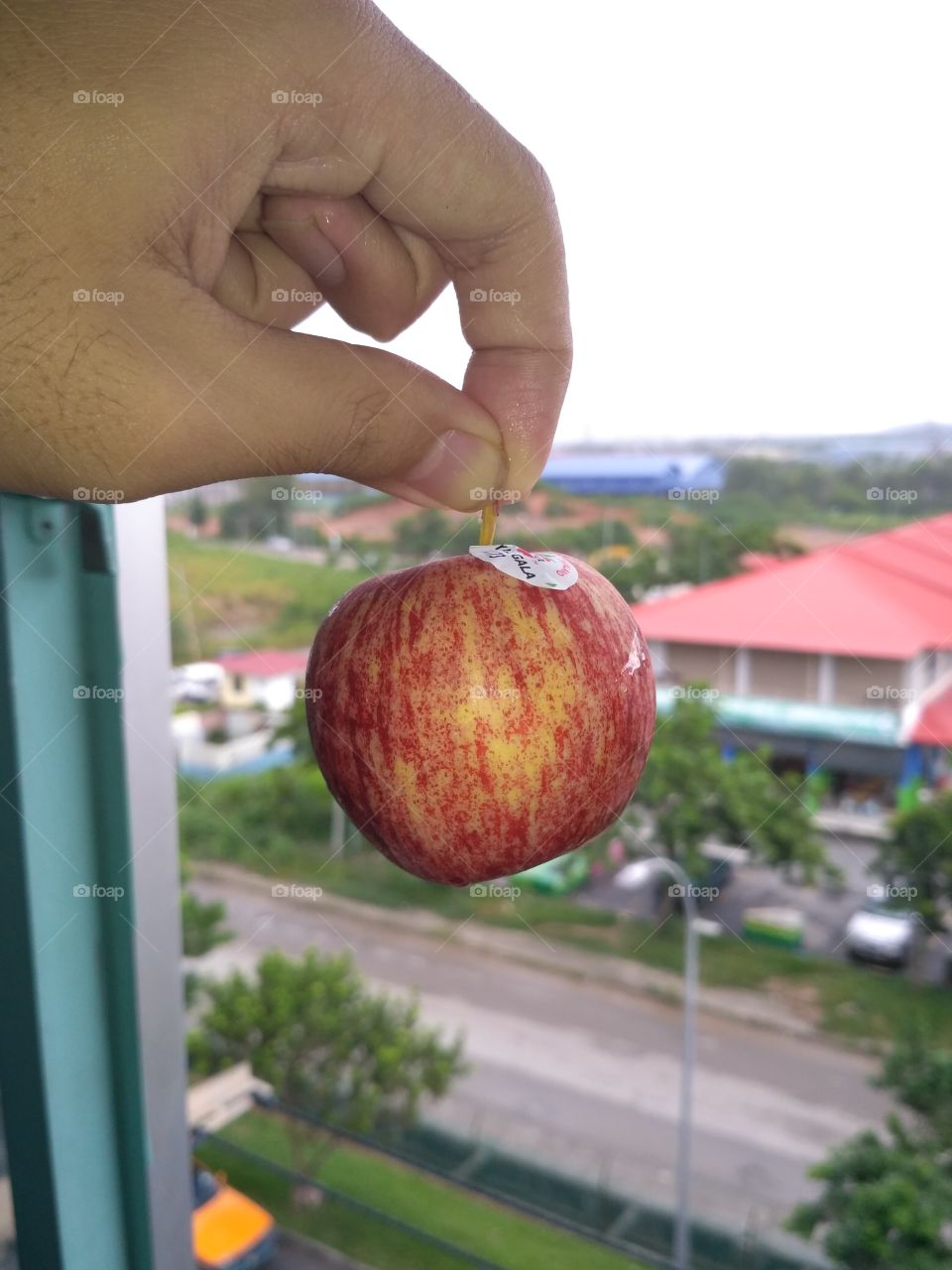 apple again