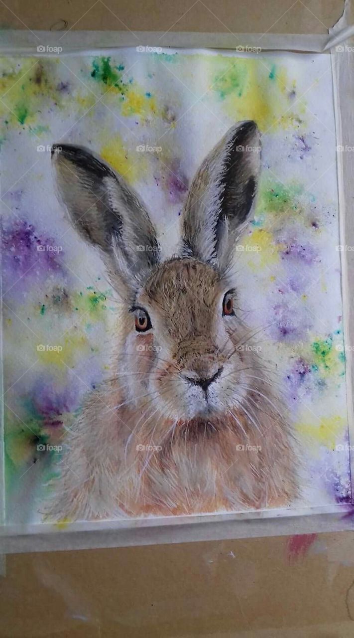 My painting of rabbit