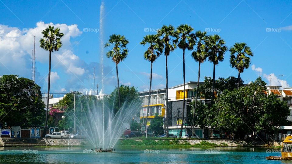 Public park.. Public park in a city.