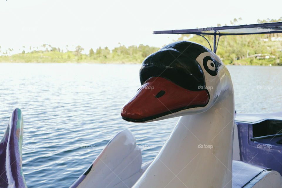 Water, No Person, Vehicle, Watercraft, Sea