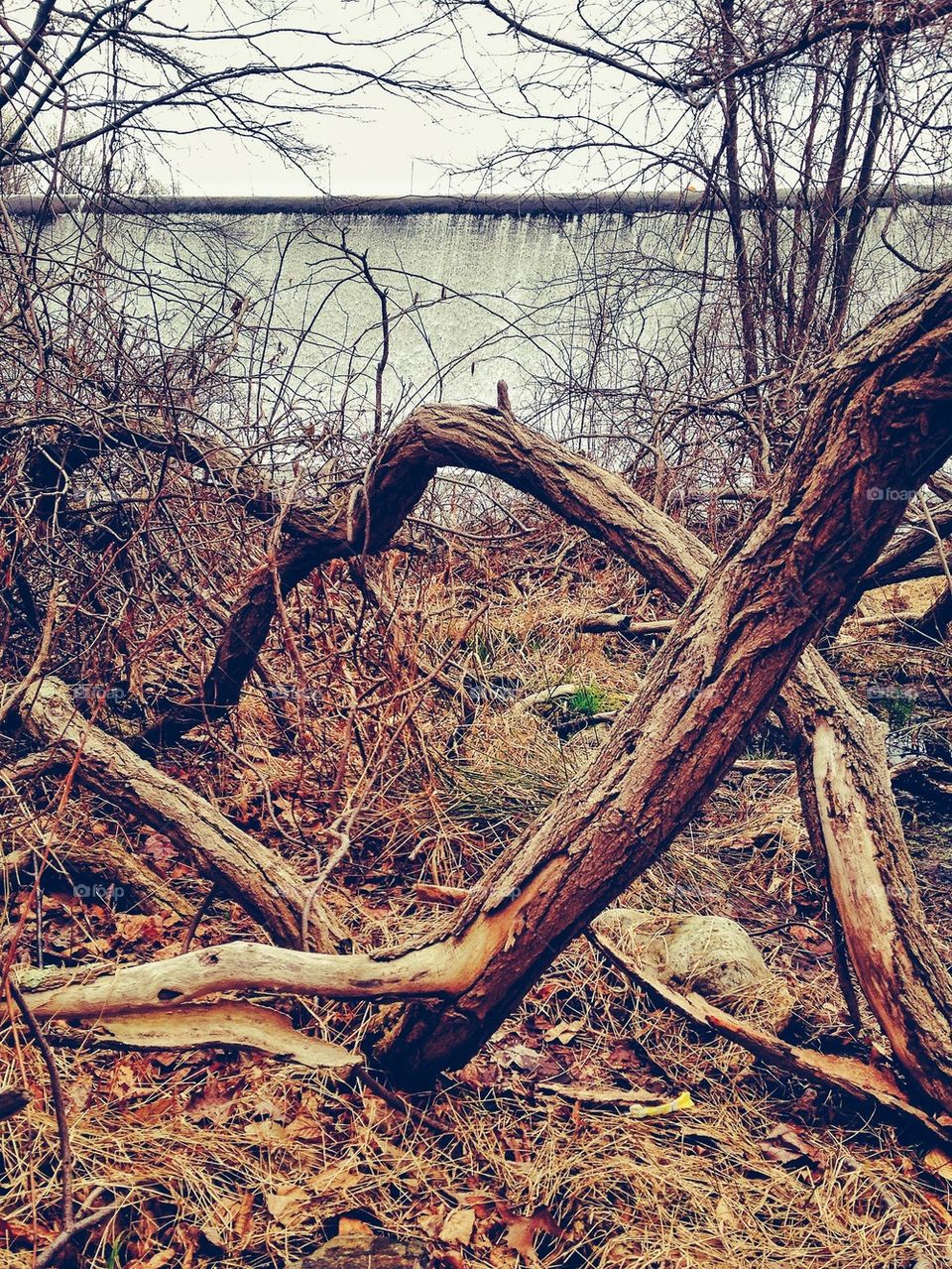 Samp Morter Reservoir Dam, Fairfield CT 