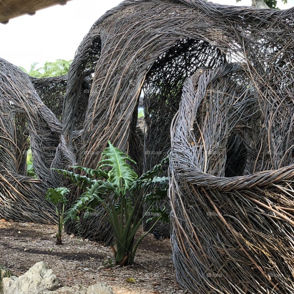 Interesting woven twig huts 