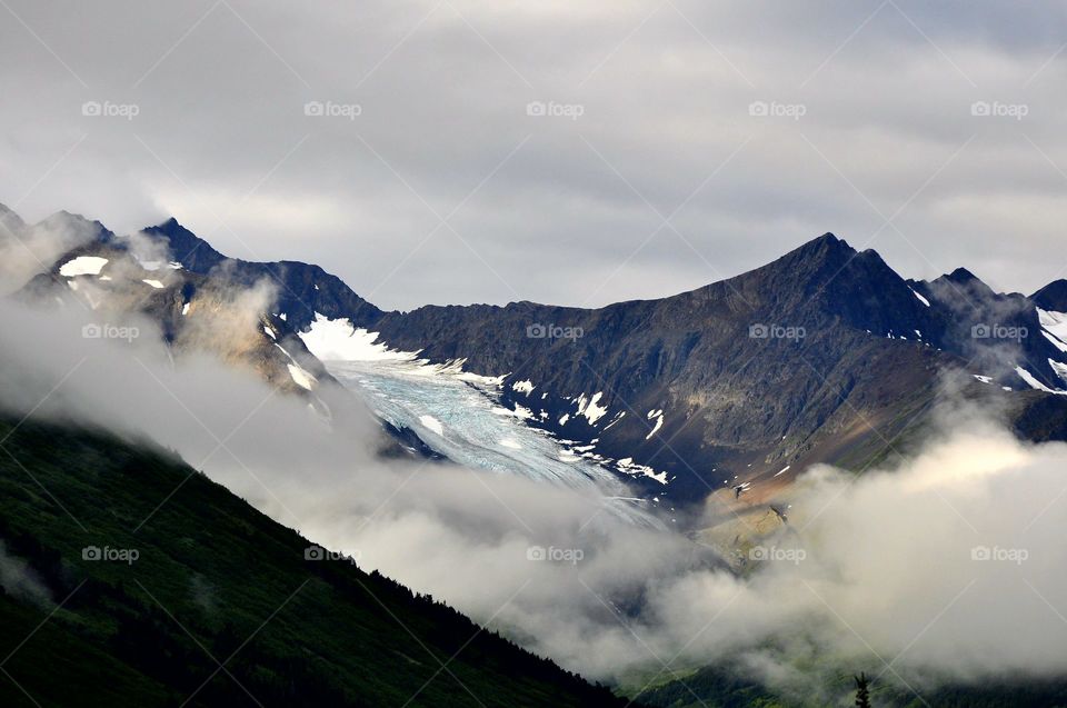 Foggy Alaska