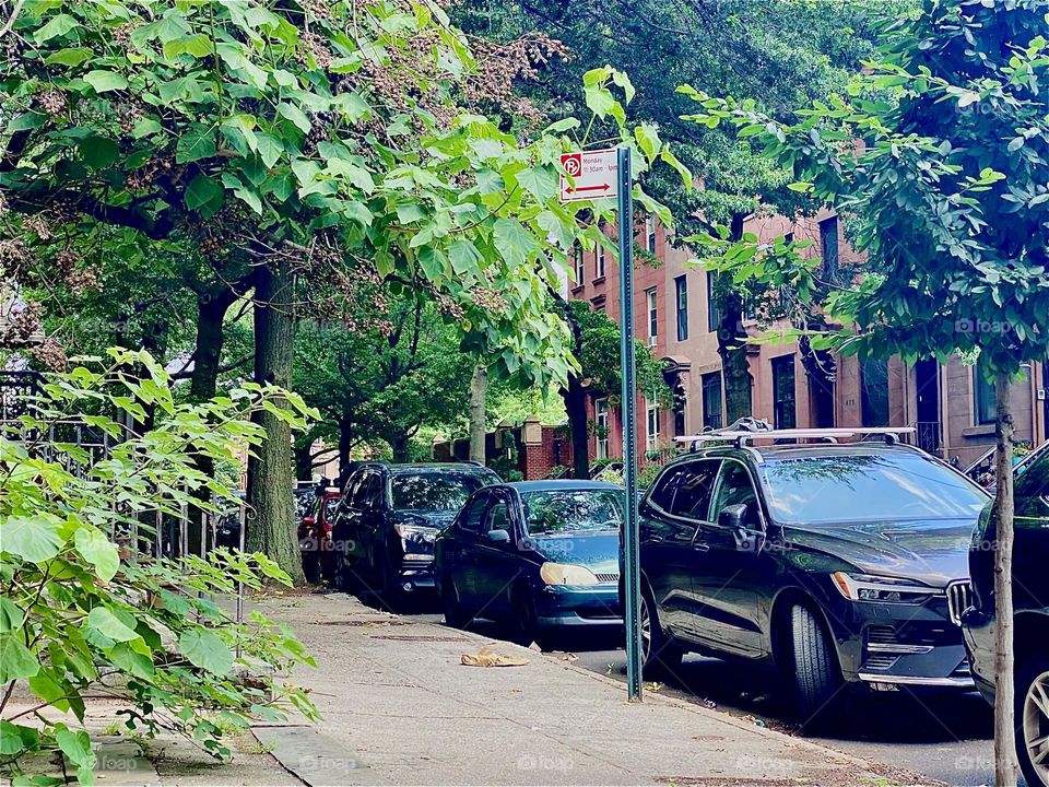 This is the tree lined vicinity of „Waverly Av“ corner of „Fulton St“ in „Clinton Hill“, Brooklyn with its lush green vegetation and picturesque brownstone buildings. 2023. Hypnotic Productions