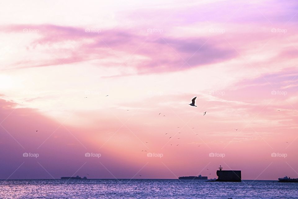 Magical moments of the sunset.