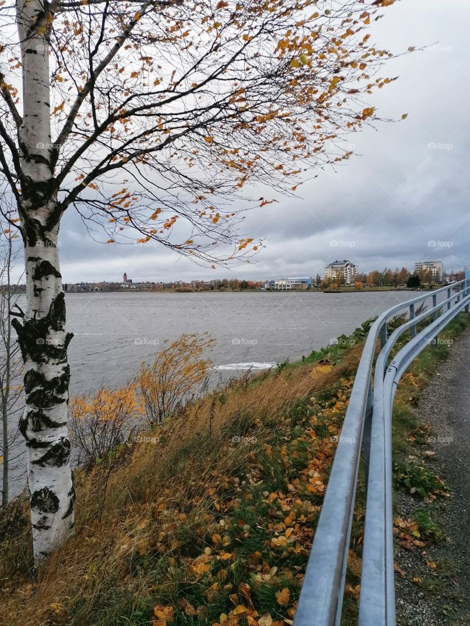 A cold autumn day in Finnish Lapland