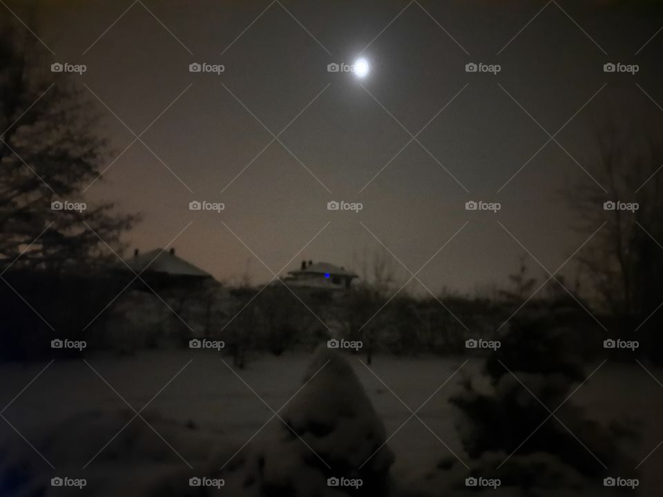 full moon in winter with snow and black silhouette