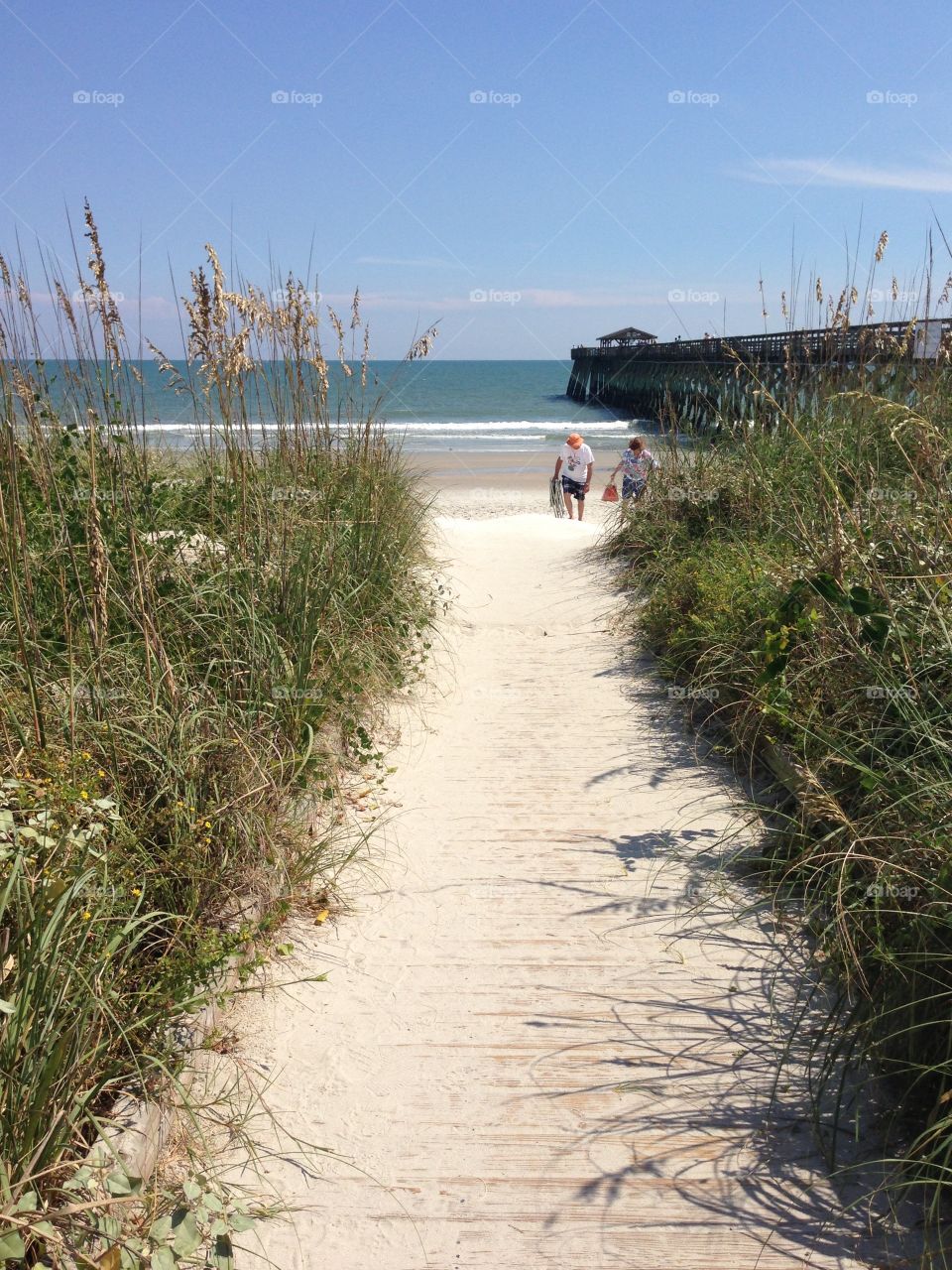 Myrtle Beach State Park. 