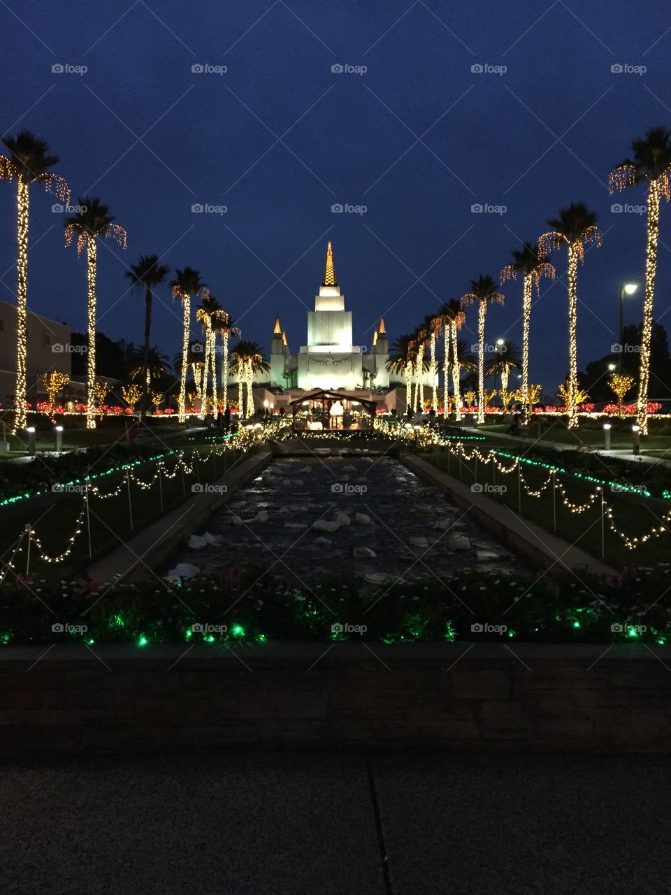 Oakland Temple during the holidays. 
