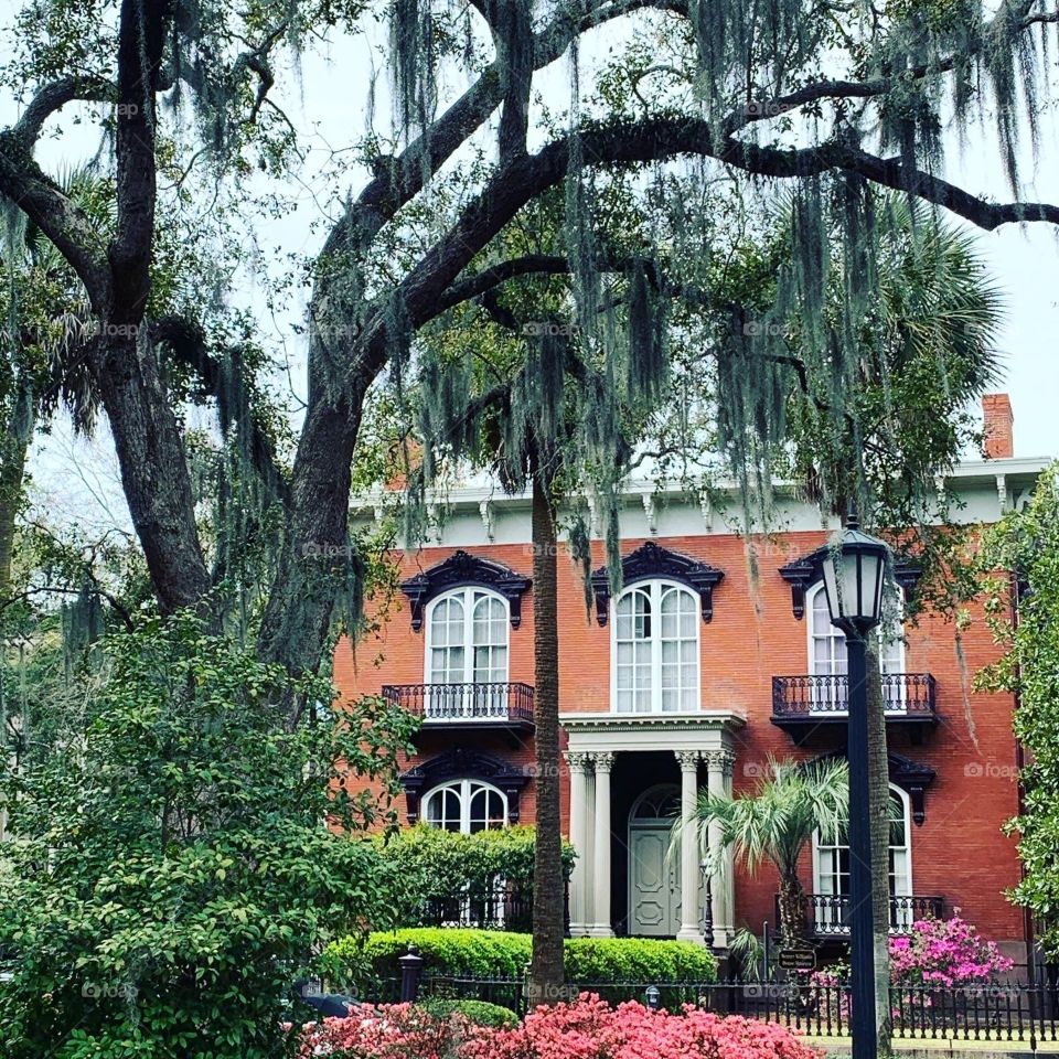 William Mercer House Museum Savannah GA