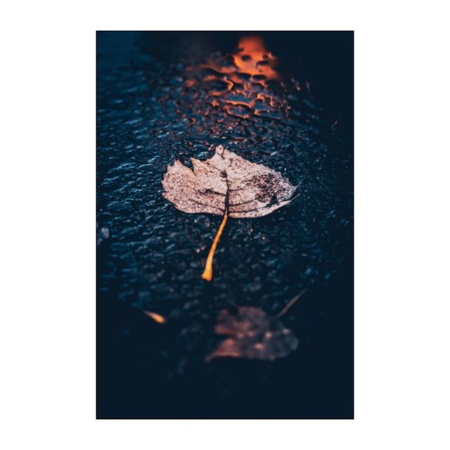 #RaiN_RaRe_PiC_🌧