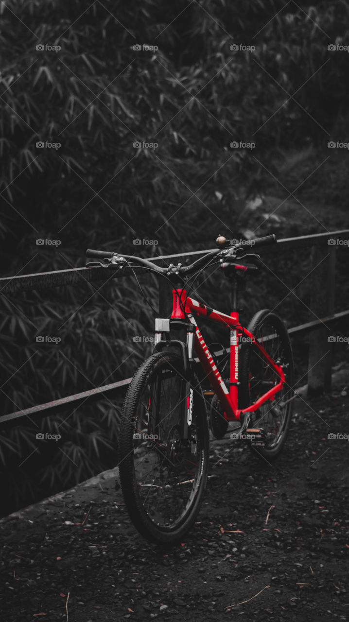 The red mountain bike leaned against the iron fence