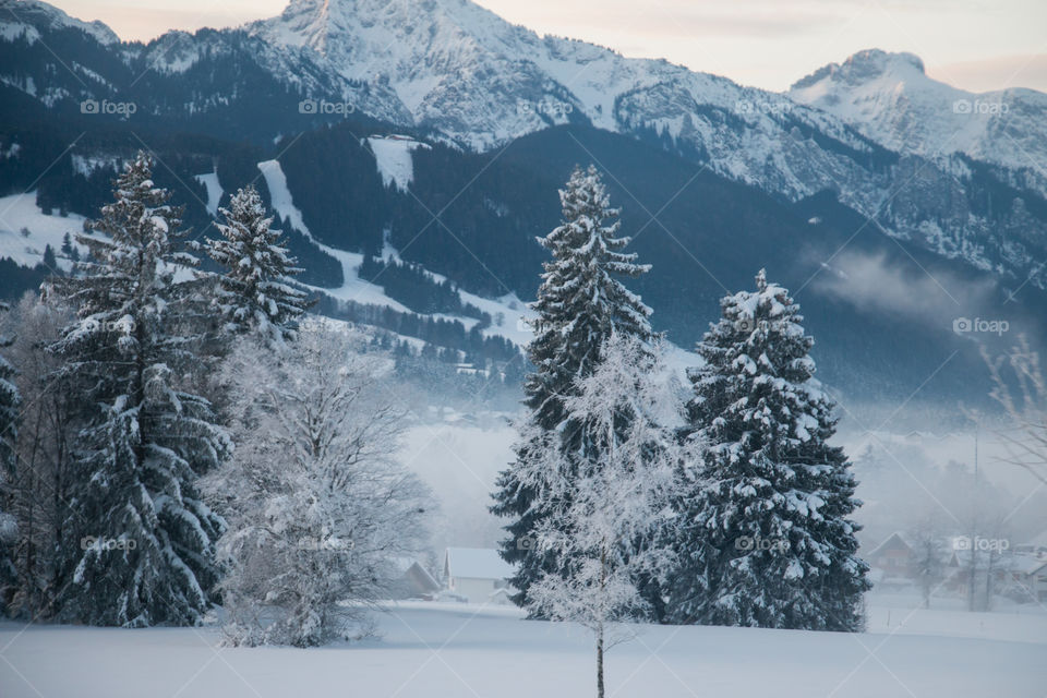 Snow and fog in the Alps