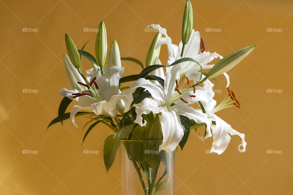 white lilies