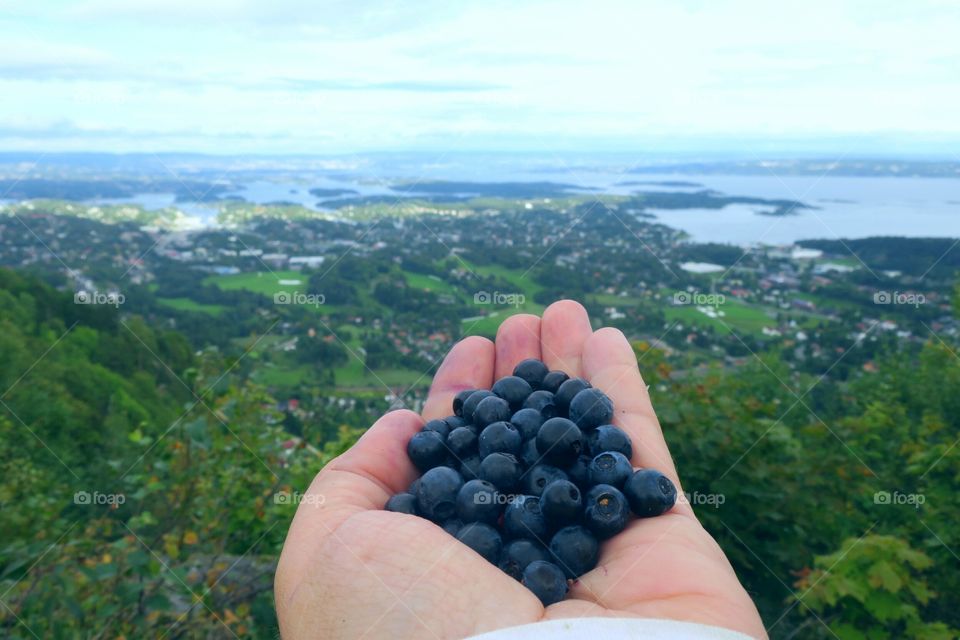 Holding blueberries