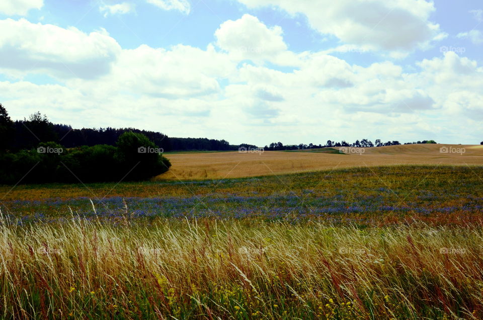 Fields of the Mazurian region in Poland