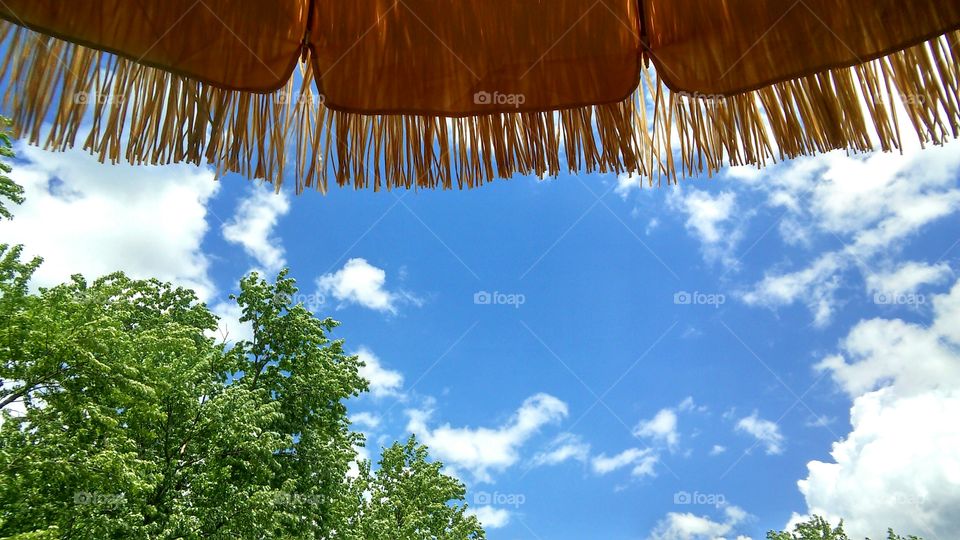 Sky, Wood, Summer, No Person, Nature