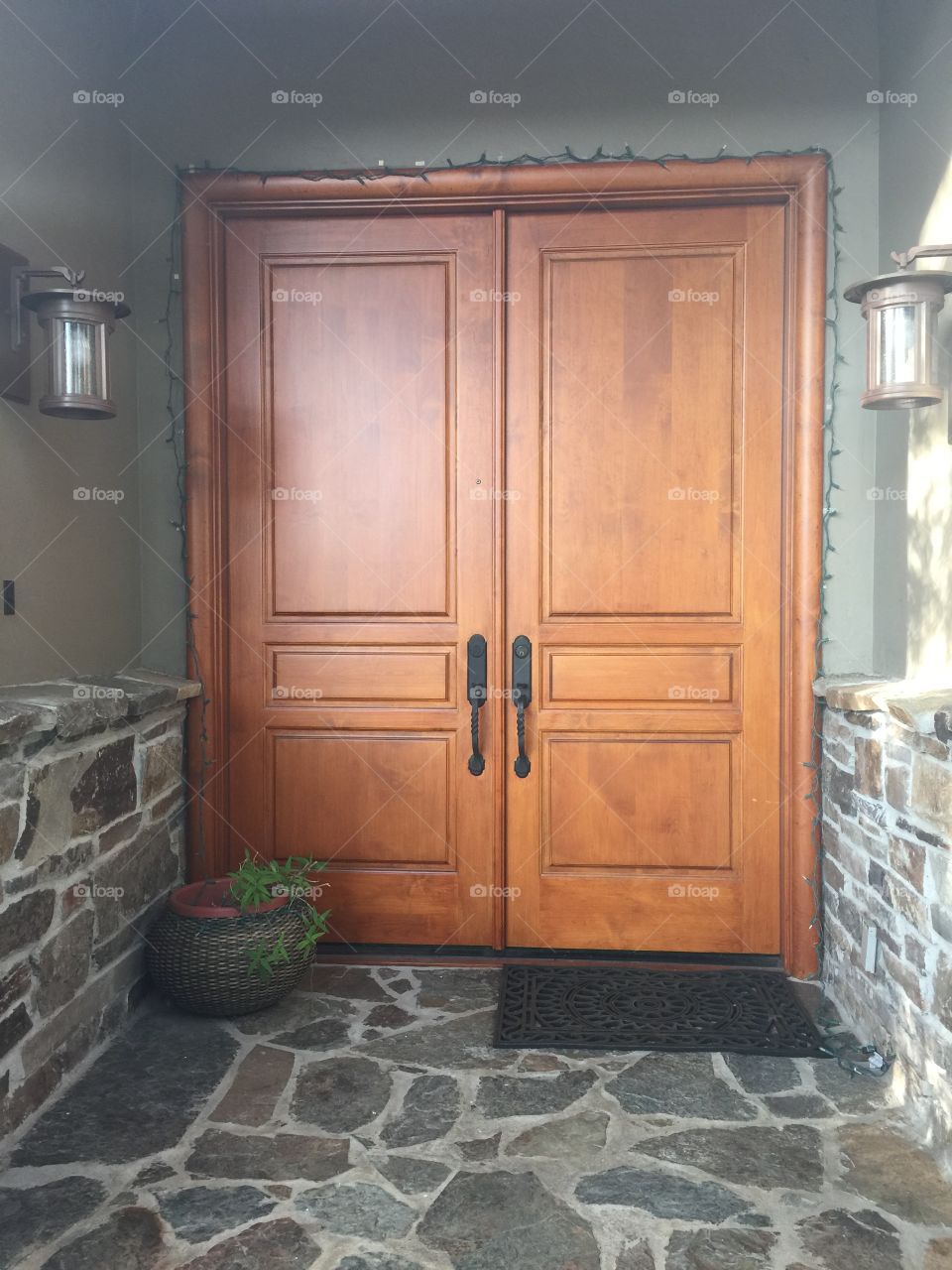 Brown Door