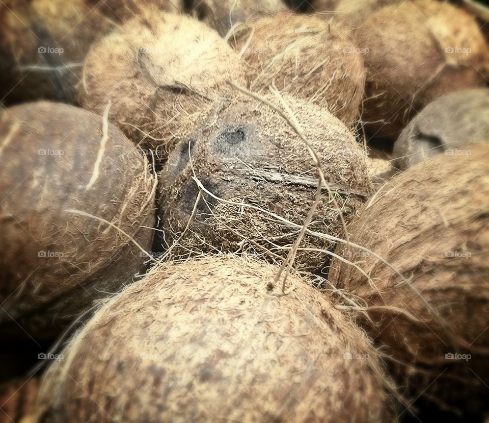 Group of exotic coconut in a mess composition