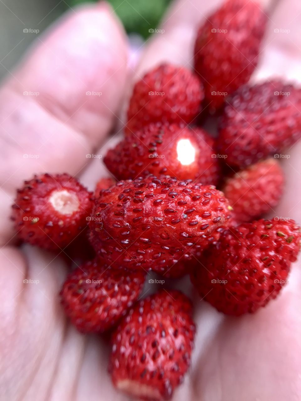 Strawberries