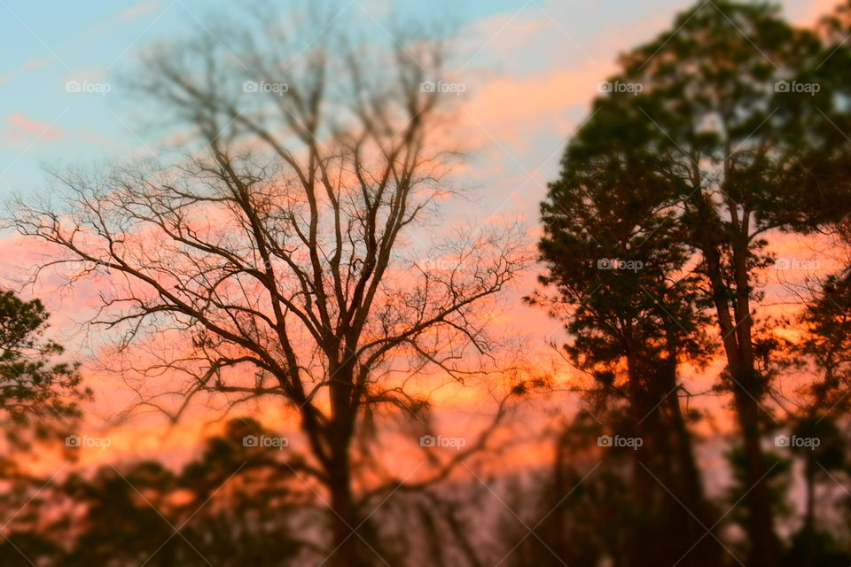 Sunrise with a blur