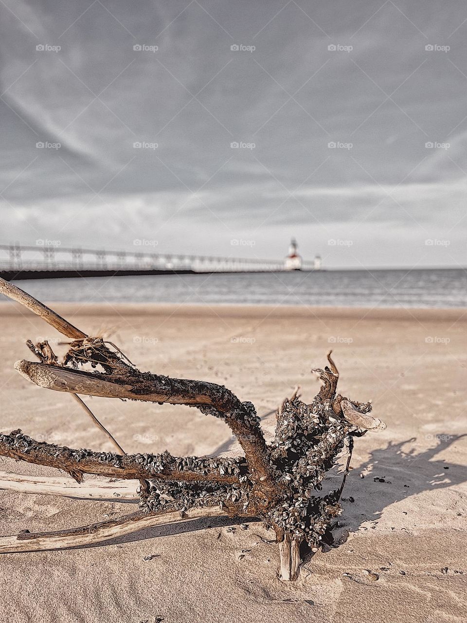 Driftwood on the beach with a lighthouse in the distance, foreground subject with background subject, lighthouses of Michigan, beaches of Michigan, enjoying the beaches of the Midwest, empty beaches, walking in the beach, beach landscapes, iPhone