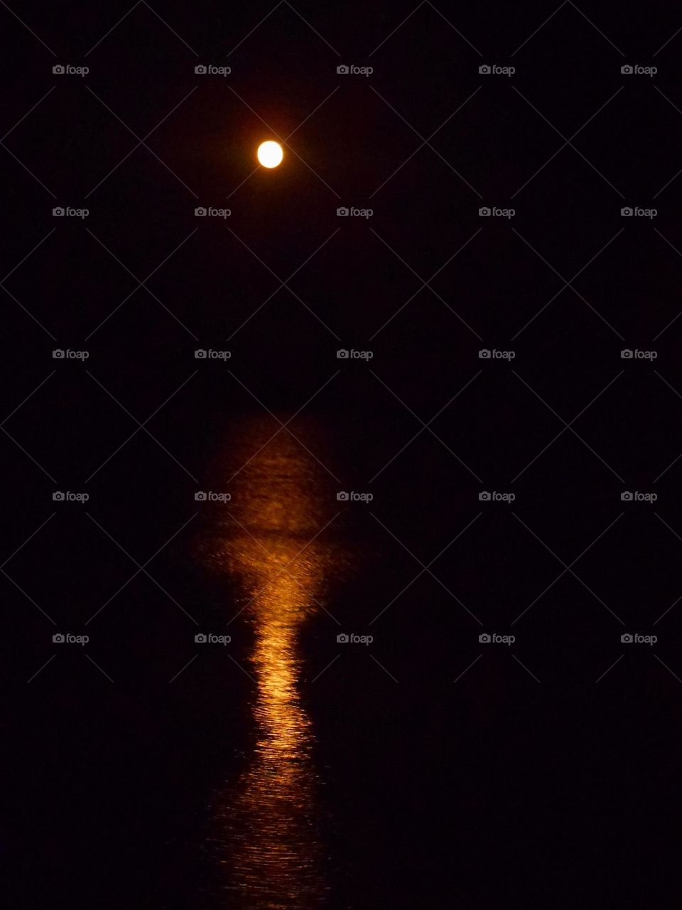 night sea view and light moon