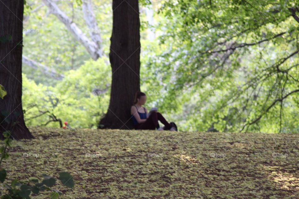 Reading in the park