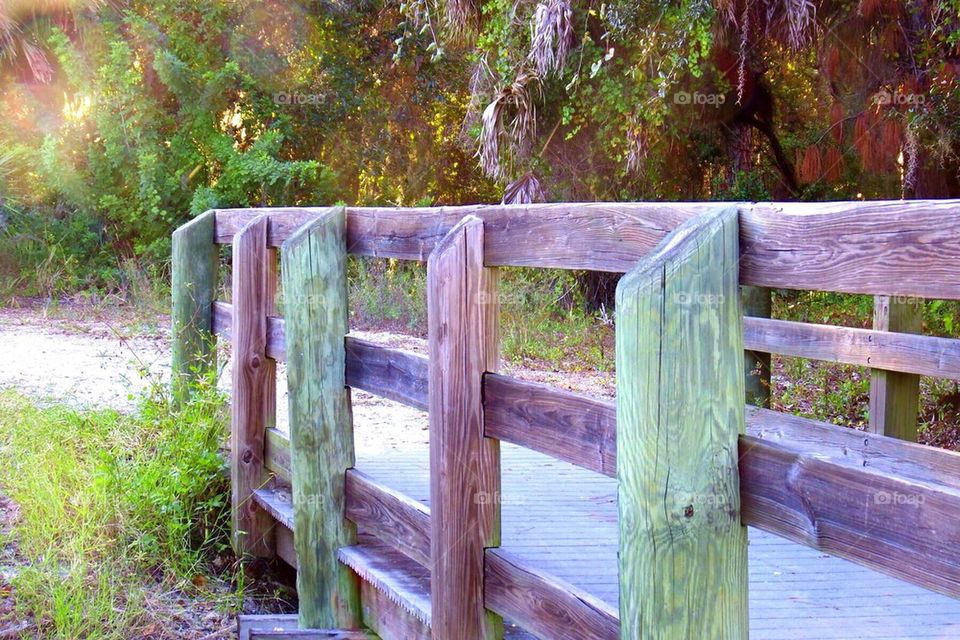 Pathways in the Sunshine 