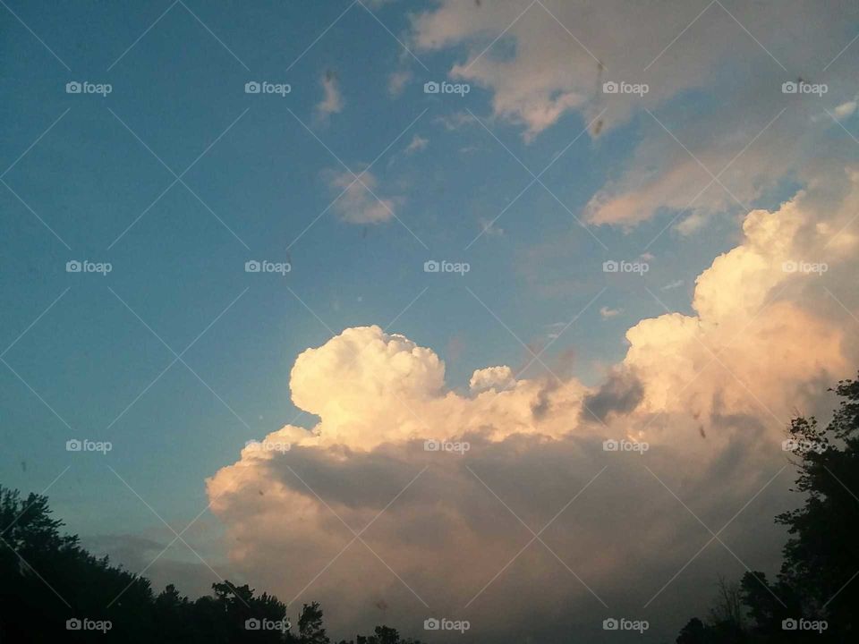 bright whites against a sea of blue