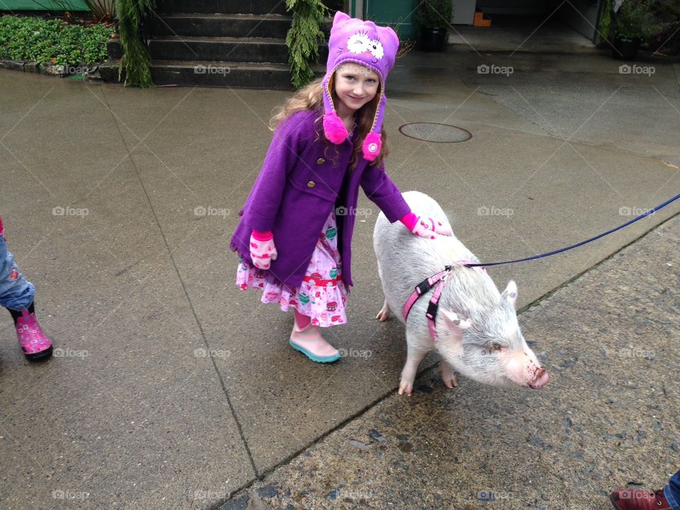 Pet pig out for stroll gets a loving pet from my daughter 