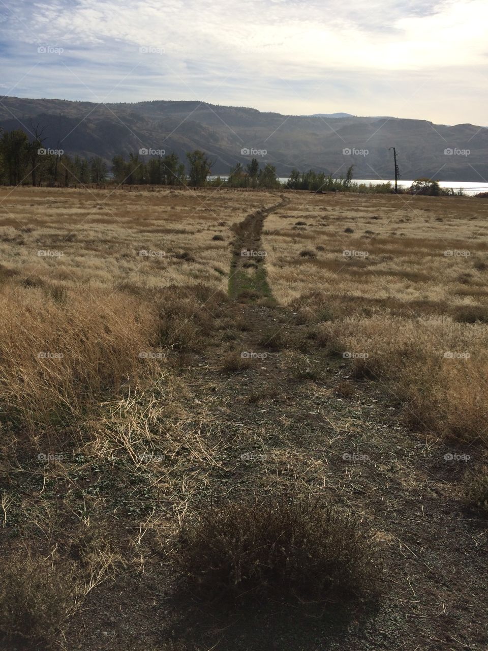 Pathway to the lake!!