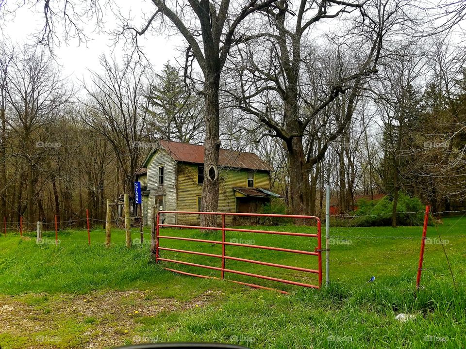 Driving the back Roads and enjoying everything around us