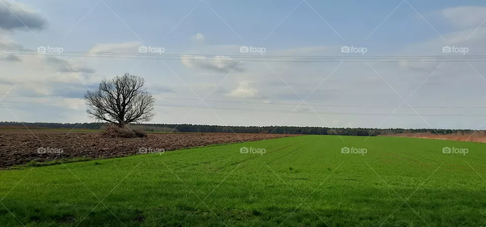 green space
