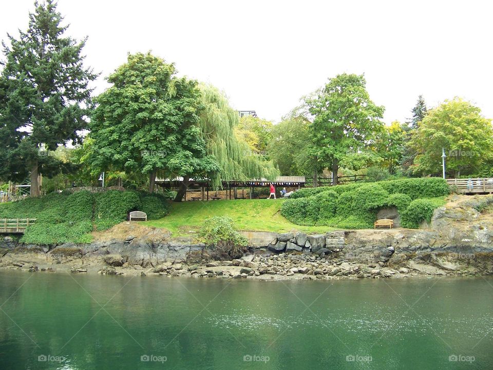 Friday harbor park. Friday harbor park