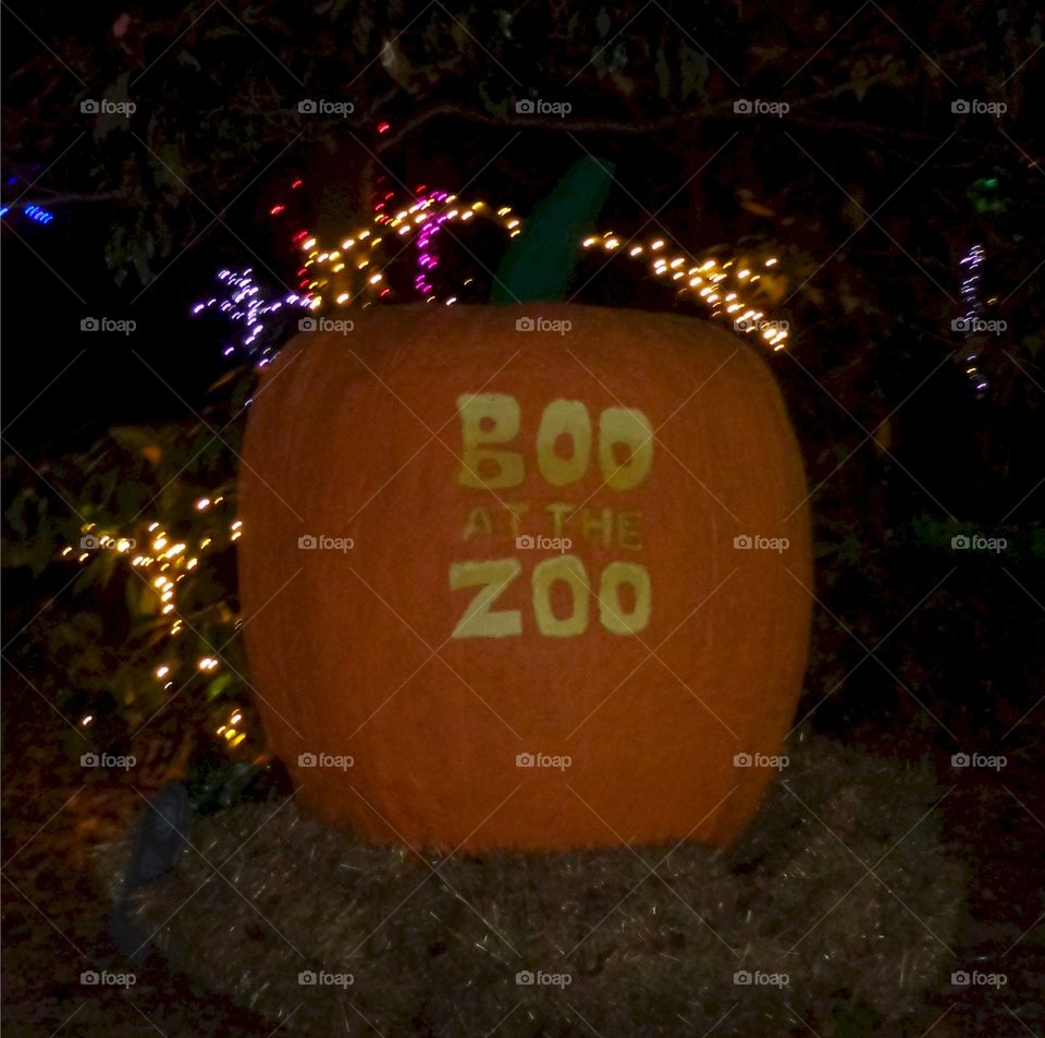 boo at the zoo. Halloween tradition 