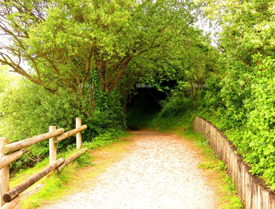 rural path