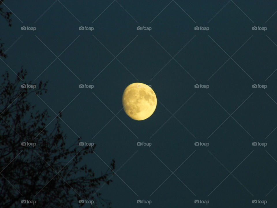 beautiful moon in evening