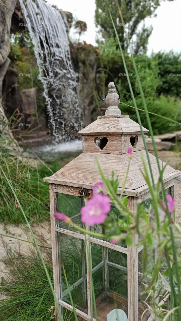 flowers on the background of a small waterfall