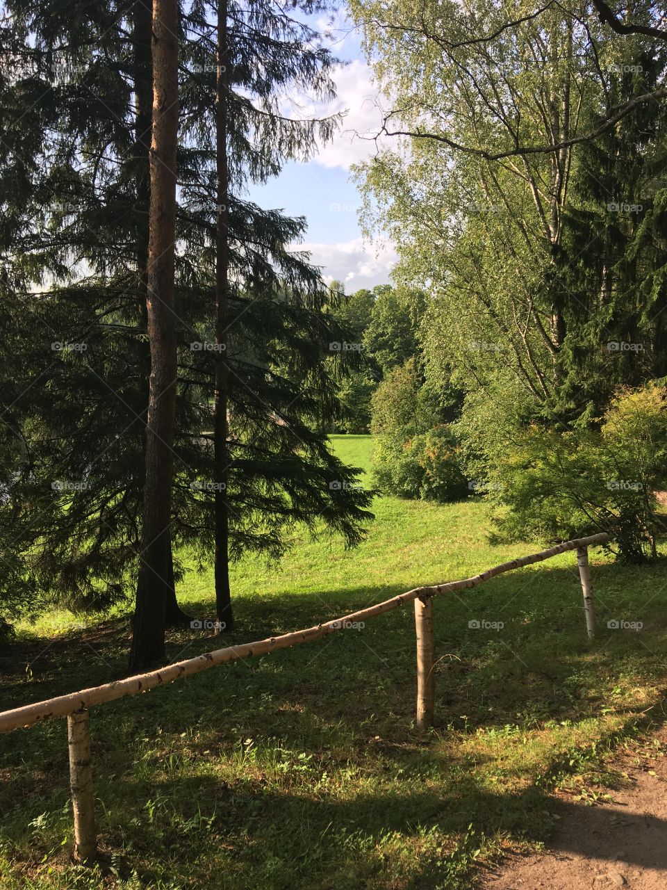 incredibly beautiful landscape and it's all living