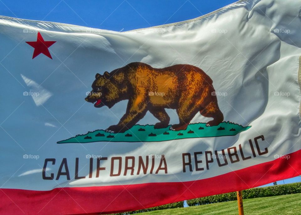 California State Flag