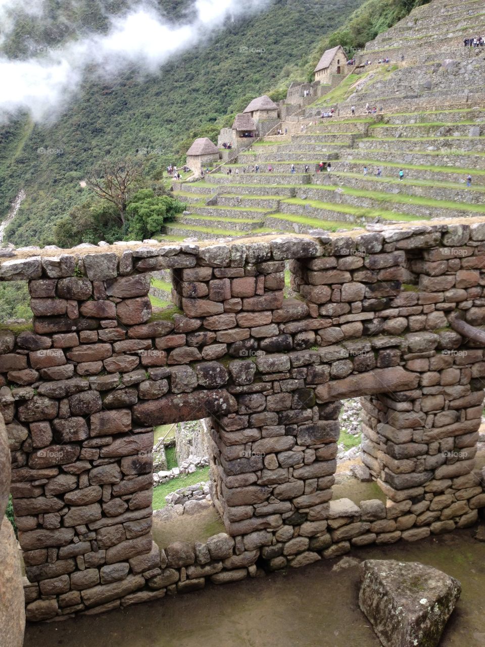 Inca 