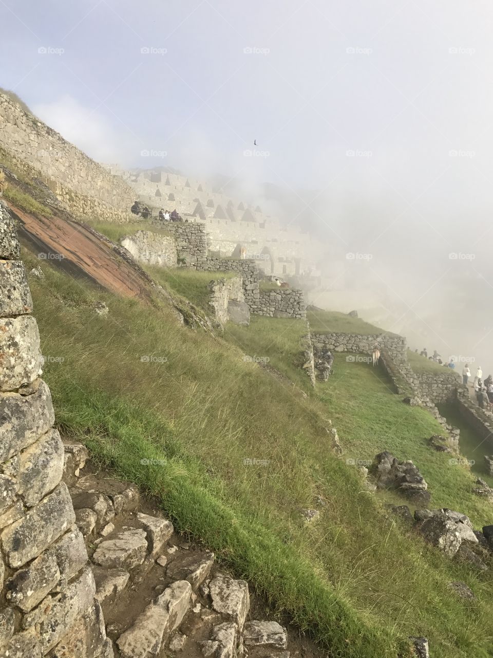 Terraces of the Inca people along the Moonstone Trek in Peru