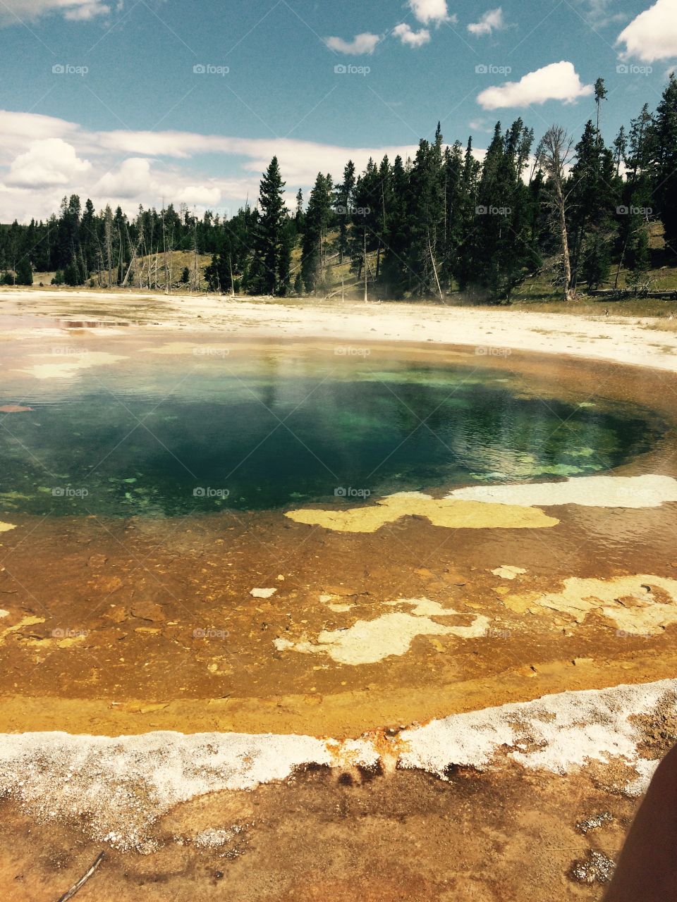 A geyser in Yellowstone National Park.