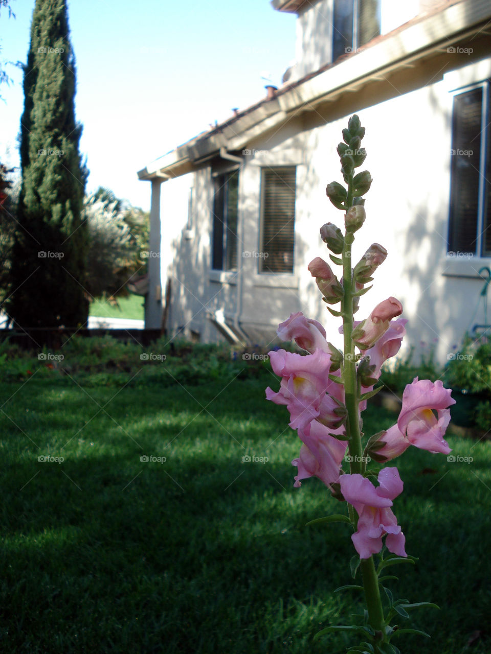 A single stem of flowers adds beauty to a place.