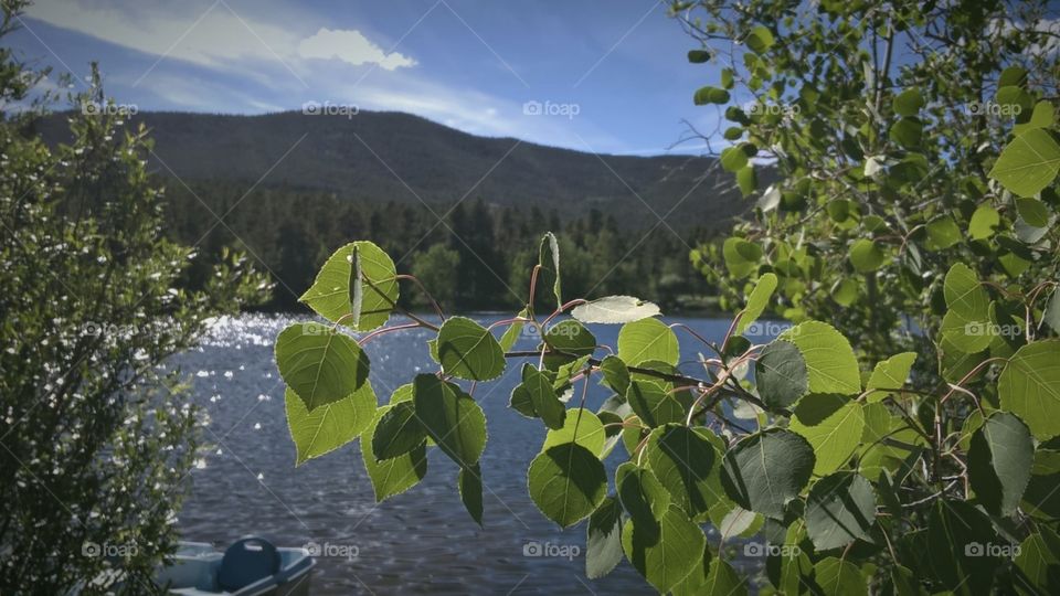 Denver mountain lake scene