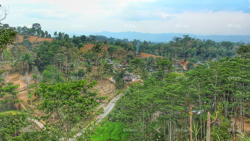Typical village of javanese Indonesia