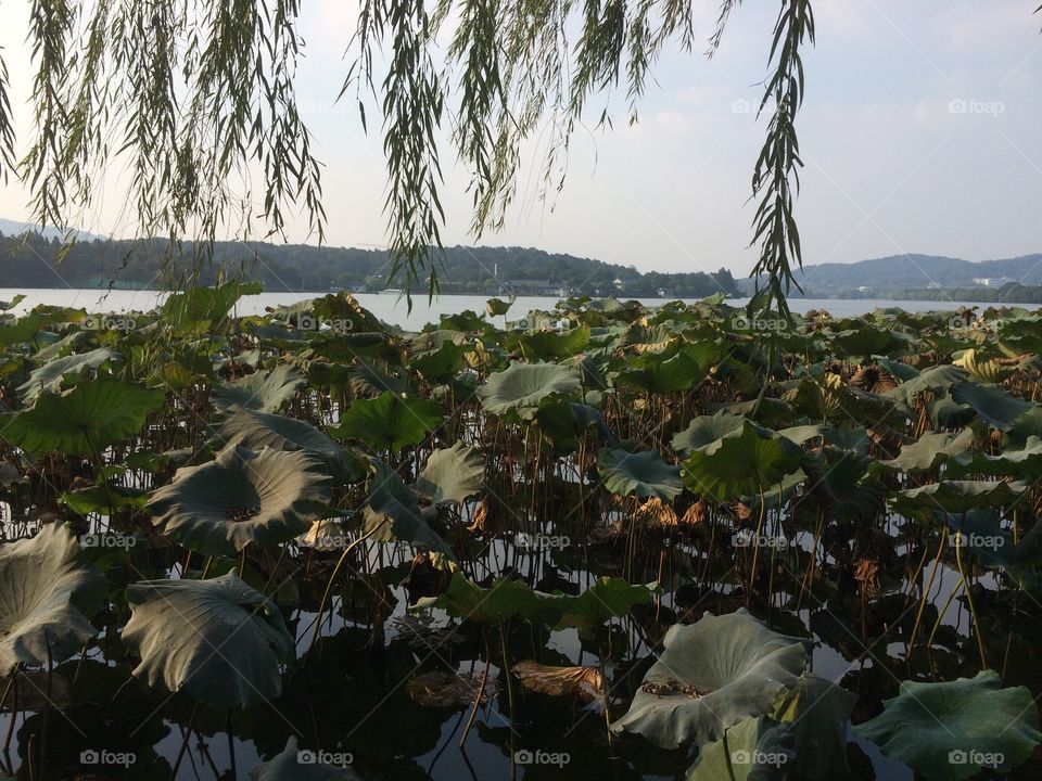 West Lake Hangzhou China 