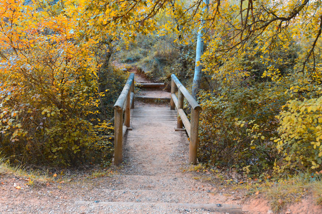 fall