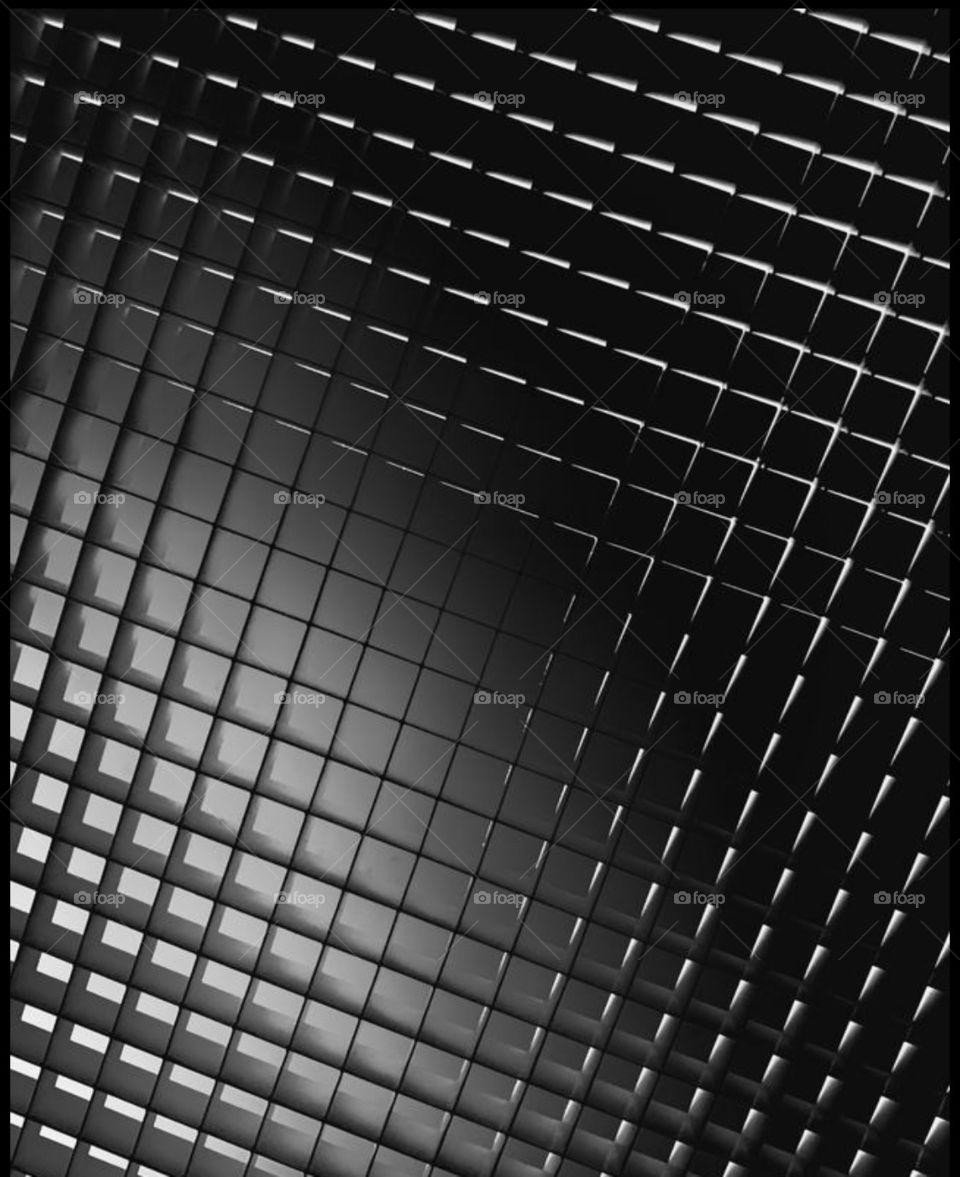 Black and white contrast 